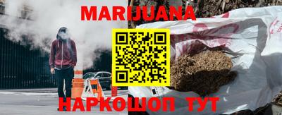 прущие грибы Можайск