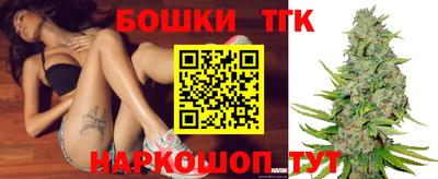 прущие грибы Можайск